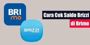 Cara Cek Saldo Brizzi di BRImo