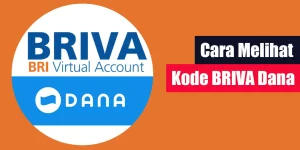 Cara Melihat Kode BRIVA Dana