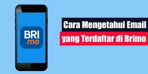 Cara Mengetahui Email yang Terdaftar di Brimo