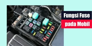 Fungsi Fuse pada Mobil
