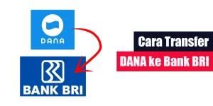 Cara Transfer DANA ke Bank BRI