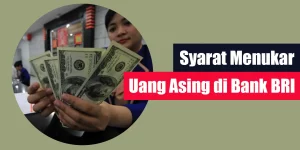 Syarat Menukar Uang Asing di Bank BRI