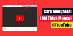 Cara Mengatasi IDM yang Tidak Muncul di YouTube