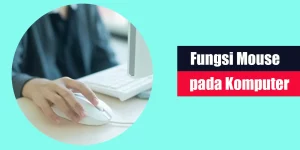 Fungsi Mouse pada Komputer