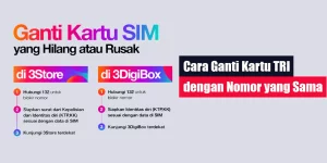 Cara Ganti Kartu TRI dengan Nomor yang Sama
