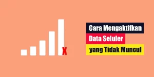 Cara Mengaktifkan Data Seluler yang Tidak Muncul