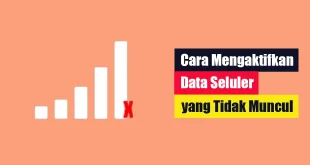 Cara Mengaktifkan Data Seluler yang Tidak Muncul