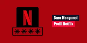 Cara Mengunci Profil Netflix