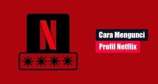 Cara Mengunci Profil Netflix