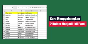 Cara Menggabungkan 2 Kolom Menjadi 1 di Excel