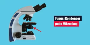 Fungsi Kondensor pada Mikroskop