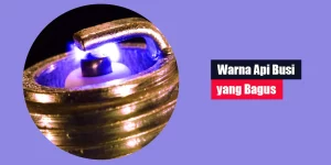 Warna Api Busi yang Bagus