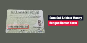 Cek Saldo e-Money dengan Nomor Kartu