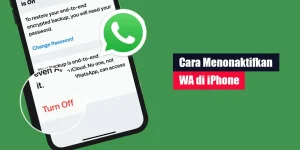 Cara Menonaktifkan WA di iPhone
