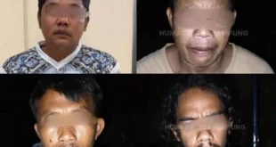 4 Pembunuh Tapir Langka di Lampung Ditangkap, Ini Tampangnya: Kasus Pembunuhan Satwa Dilindungi