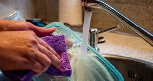 7 Benda di Dapur Ini Bisa Jadi Sumber Mikroplastik yang Masuk ke Tubuh, Apa Saja?