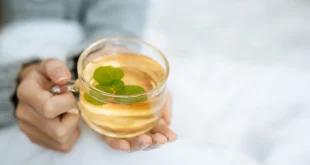 8 Teh yang Baik untuk Program Diet, Bukan Sekadar Minuman Hangat