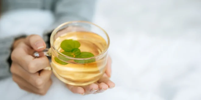 8 Teh yang Baik untuk Program Diet, Bukan Sekadar Minuman Hangat