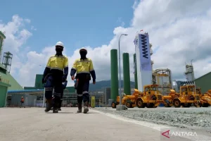 Amman Mineral Targetkan Produksi Emas 16,1 Ton pada Akhir 2026: Tantangan dan Peluang