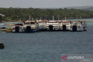 ASDP Batalkan Seluruh Pelayaran dari Kupang Akibat Cuaca Buruk, Mengapa?