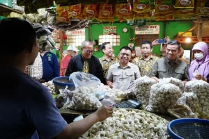 Bapanas Gandeng Distributor untuk Stabilkan Harga Bawang Putih di Pasaran