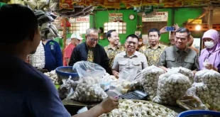 Bapanas Gandeng Distributor untuk Stabilkan Harga Bawang Putih di Pasaran