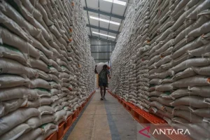 Bapanas Siapkan Cadangan Pangan untuk Menghadapi Musim Kemarau