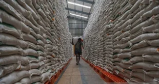 Bapanas Siapkan Cadangan Pangan untuk Menghadapi Musim Kemarau