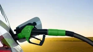 BBM B50 Resmi Diterapkan ini Komponen Mobil Diesel yang Wajid Dicek Rutin, Apa Dampaknya?