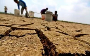 BMKG Curah Hujan Wilayah Indonesia Diprediksi Tetap Rendah pada Pertengahan Juli 2026