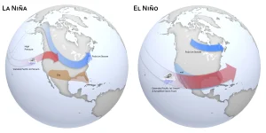 BMKG Peringatkan El Nino Kuat: Indonesia Harus Siapkan Diri untuk Kemarau Panjang