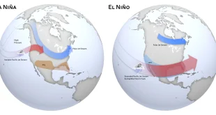 BMKG Peringatkan El Nino Kuat: Indonesia Harus Siapkan Diri untuk Kemarau Panjang