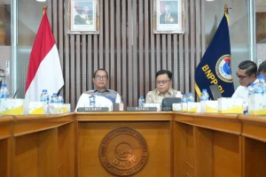 BNPP dan Pemkab Kepulauan Meranti Percepat Pemerataan Pembangunan Kawasan Perbatasan untuk Mendorong Pertumbuhan Ekonomi