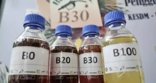 BPDP Siap Layani Subsidi Solar bagi Nelayan, Siapkan Anggaran Rp 1,5 Triliun untuk Meningkatkan Pendapatan