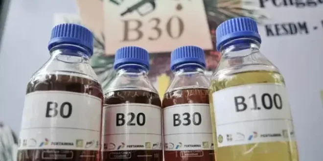 BPDP Siap Layani Subsidi Solar bagi Nelayan, Siapkan Anggaran Rp 1,5 Triliun untuk Meningkatkan Pendapatan