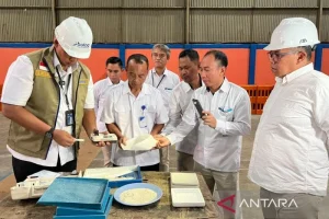 Bulog Pastikan Kualitas Beras di Papua Aman-terjaga Buat Warga