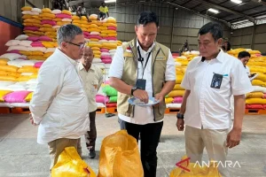 Bulog Wajibkan Mitra Penggilingan Padi Tersertifikasi pada 2027 untuk Meningkatkan Kualitas
