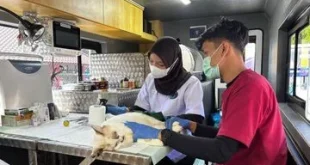 DKI Jakarta Luncurkan Program Kesehatan Hewan dengan 5 Unit Mobil Klinik Hewan Keliling di Lima Wilayah Kota