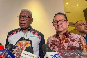 DPR Sebut Keberlanjutan Investasi Freeport Mendorong Pembangunan Papua