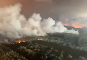 Eropa Terbakar: Kebakaran Hutan dan Gelombang Panas Mengancam Bumi