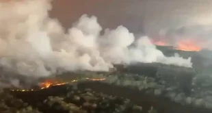 Eropa Terbakar: Kebakaran Hutan dan Gelombang Panas Mengancam Bumi