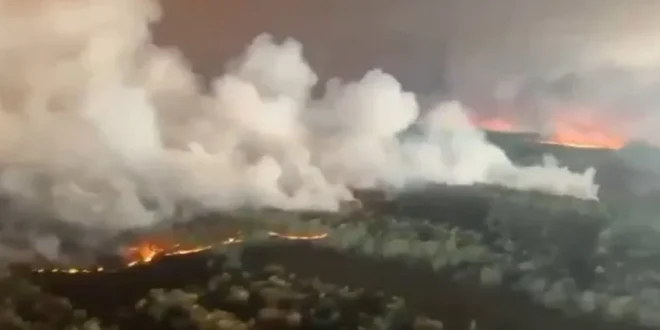 Eropa Terbakar: Kebakaran Hutan dan Gelombang Panas Mengancam Bumi