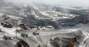 Freeport Targetkan Produksi 800 Juta Pound Tembaga dan 21 Ton Emas Tahun ini, Kontribusi Negara Mencapai USD 7 Miliar
