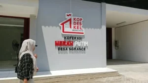 Gaji Pegawai Kopdes Merah Putih Disesuaikan Pendapatan Usaha, Menkop Ferry Jelaskan