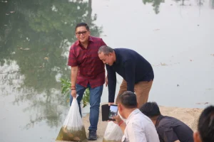 Hasto Tebar 10 Ribu Ikan di Ultah ke-60, Tiru Ajaran Megawati Rawat Pertiwi