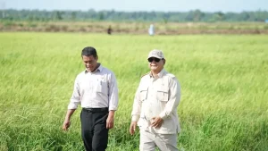 Indonesia Capai Swasembada Pangan di 8 Komoditas Strategis