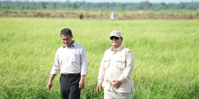 Indonesia Capai Swasembada Pangan di 8 Komoditas Strategis