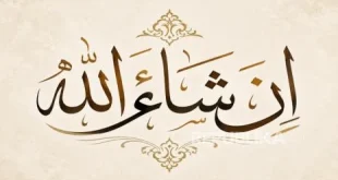 Inshallah Kalimat Islami yang Semakin Populer di Barat Diucapkan Aktris AS hingga Media