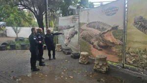 Israel Berencana Gunakan Buaya untuk Jaga Tahanan Palestina, Langkah Baru dalam Keamanan Penjara