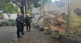 Israel Berencana Gunakan Buaya untuk Jaga Tahanan Palestina, Langkah Baru dalam Keamanan Penjara